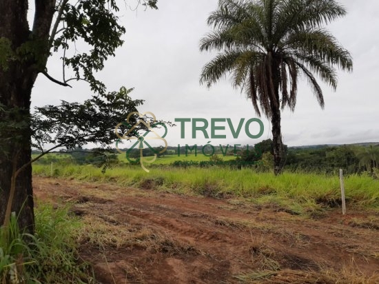 Chácara > venda > Abaete/MG