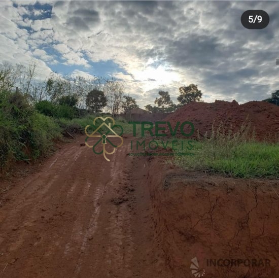 Lote > venda > Pimentas - Betim/MG