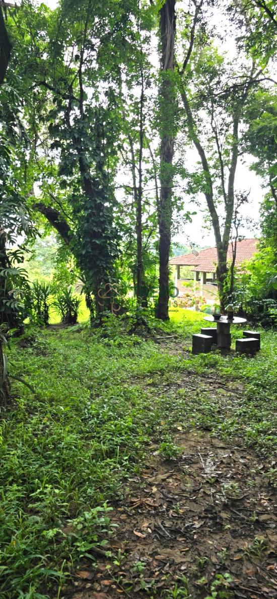 sitio-venda-vianopolis-betim-mg-1127904
