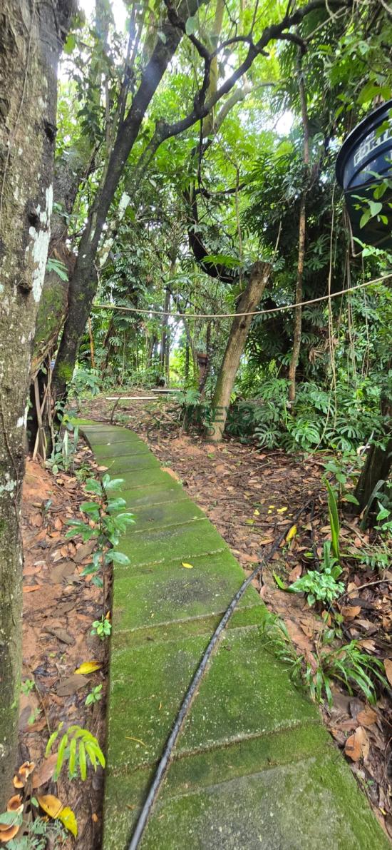 sitio-venda-vianopolis-betim-mg-1127906