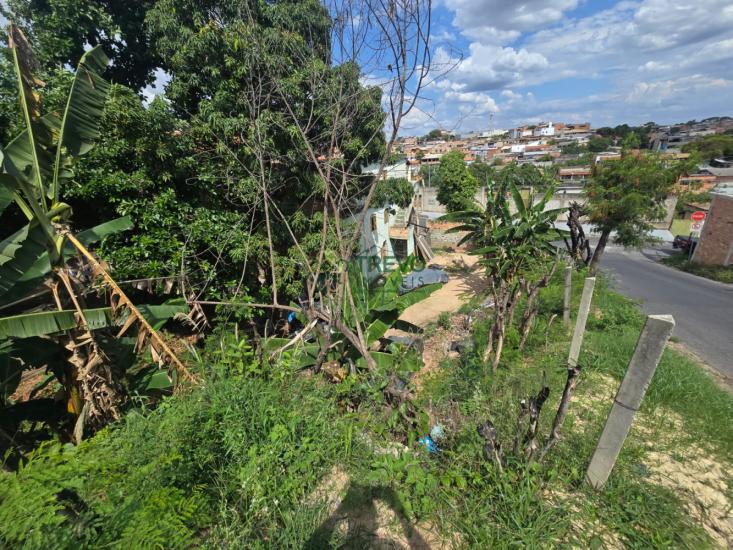 lote-venda-alterosa-betim-1145162