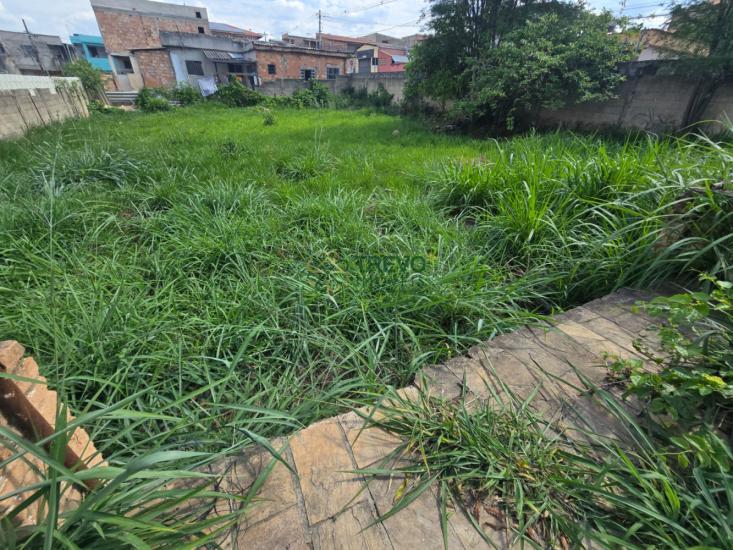 lote-venda-alterosa-betim-1145174