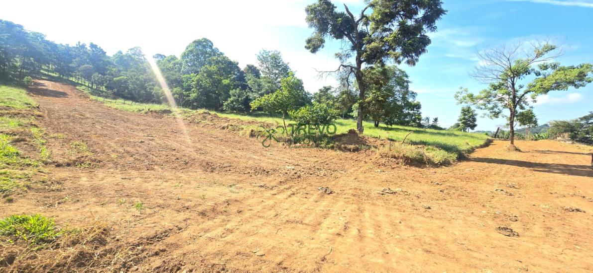 lote-venda-para-de-minas-mg-1134786